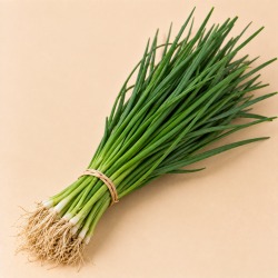 Cebolinha