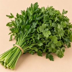 Cheiro verde