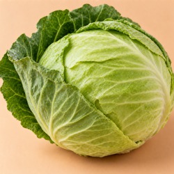 Repolho verde · aprox. 500g